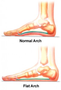 flat-feet-anatomy